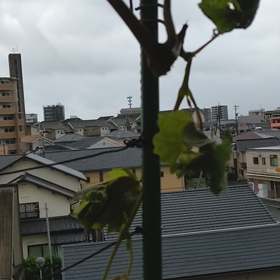 台風10号 Part 3の画像