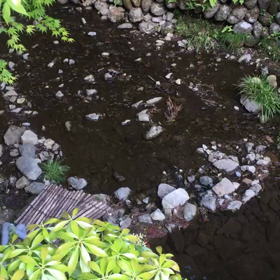 ちょっとだけ遠出の画像