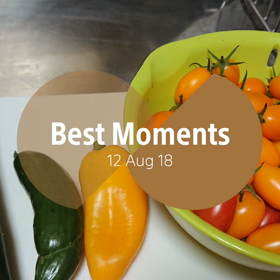 今日の収穫の画像