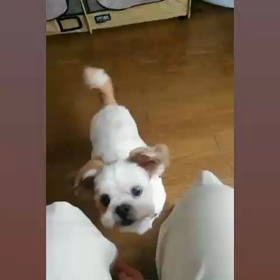 雨の休日の画像