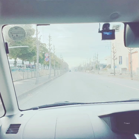 スズランの画像