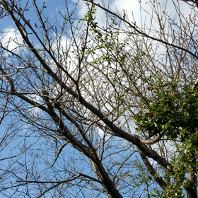 風が強いので・・・！の画像
