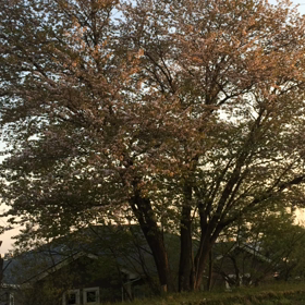 パレードは近くても⁉︎の画像