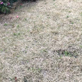 幸せ便り❤の画像