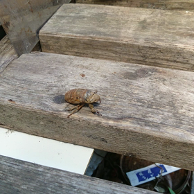 たまたま・・・の画像