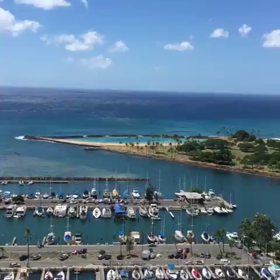 夏子inハワイだよの画像