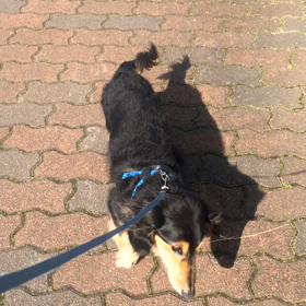 ヨタヨタゆっくりとの画像