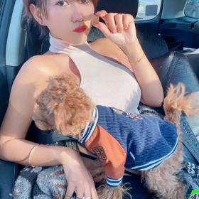 すけべ熊の画像