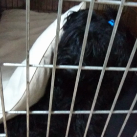 正解映像の画像