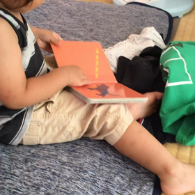 6m29d☆離乳食29日目:たんぱく質始めました&はっちゃん絵本を自分で読むの画像