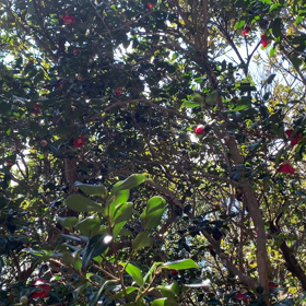 ご案内と私の気持ち　パート①の画像