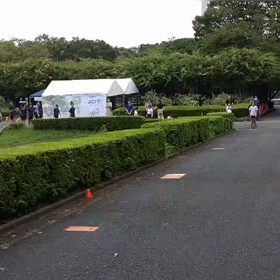 リレー選考会　スタート付近④の画像
