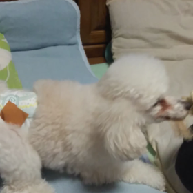 テンション⤴️⤴️の画像