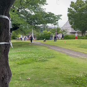 6/10 基本動作⑭の画像