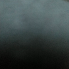 赤いスイートピーの画像