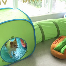 ♪プレイルーム動画♪①の画像