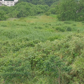 素敵な空間♪♪の画像