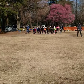 特別練習 B 学年別インターバル⑩の画像