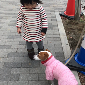 ワンちゃんの画像