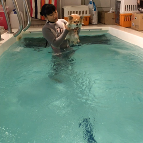 プールの日。の画像