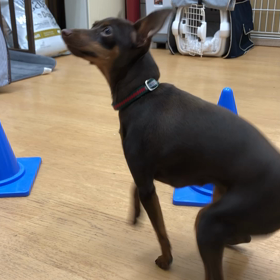 ８の字に初挑戦！！の画像