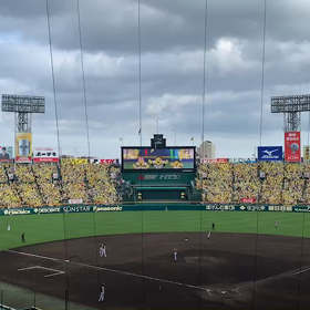 甲子園……③‼︎の画像