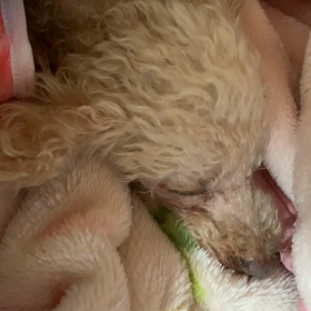 17歳8ヶ月♡の画像