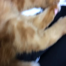 これは何してる？の画像