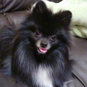 家族記念日♪の画像