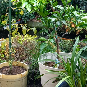 ８月も最終日！の画像