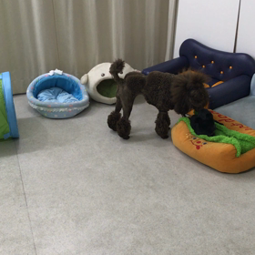 ♪プレイルーム動画♪の画像