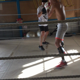 岸和田ボクシングジムアカデミーBBの画像