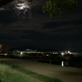 確実に♪の画像