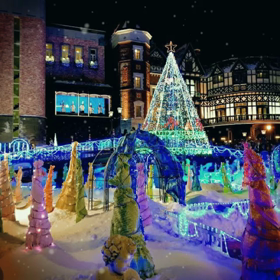 ダンプの中から！の画像