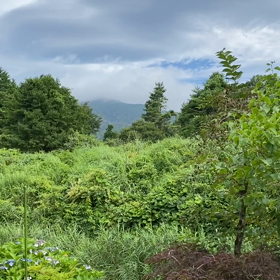 “自然と音遊び” プロジェクト vol.071！の画像