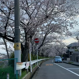 皆さまの寂しさよ、和らげ〜の画像