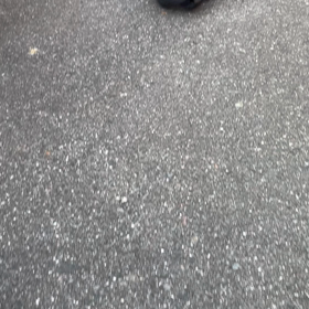 今日は猫の日の画像