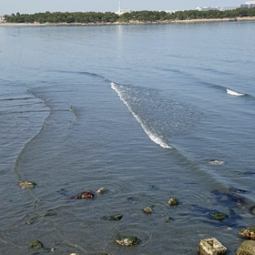 青い海☆の画像