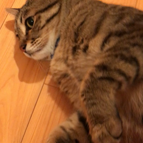 オープン日が決まりました❣️の画像