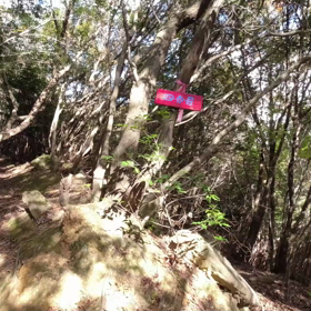 2022.11.27 兵庫県 ビシャゴ岩_2回目【Vlog（その2）】の画像