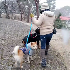 大雪降ったらみんなで休みませんか？の画像
