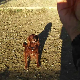 手首の限界に挑んでみたの画像