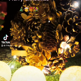 メリークリスマス♪(*^^)o∀*∀o(^^*)♪の画像