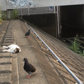 夏は怖いね！(食中毒)の画像