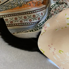 ひなまつり^_^の画像