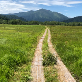 池塘地帯ランキングの画像