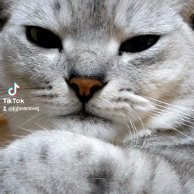 眠りますの画像