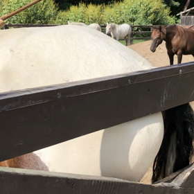 マグちゃんかゆいのー？の画像