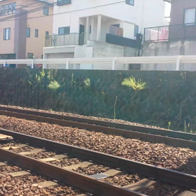 パノラマスーパ－動画の画像