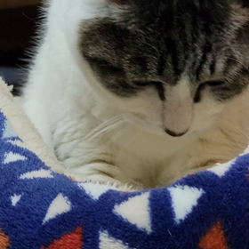 仕事納めの画像